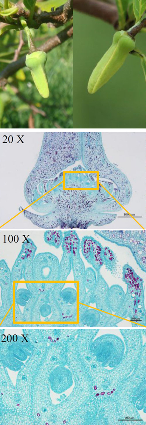 img example